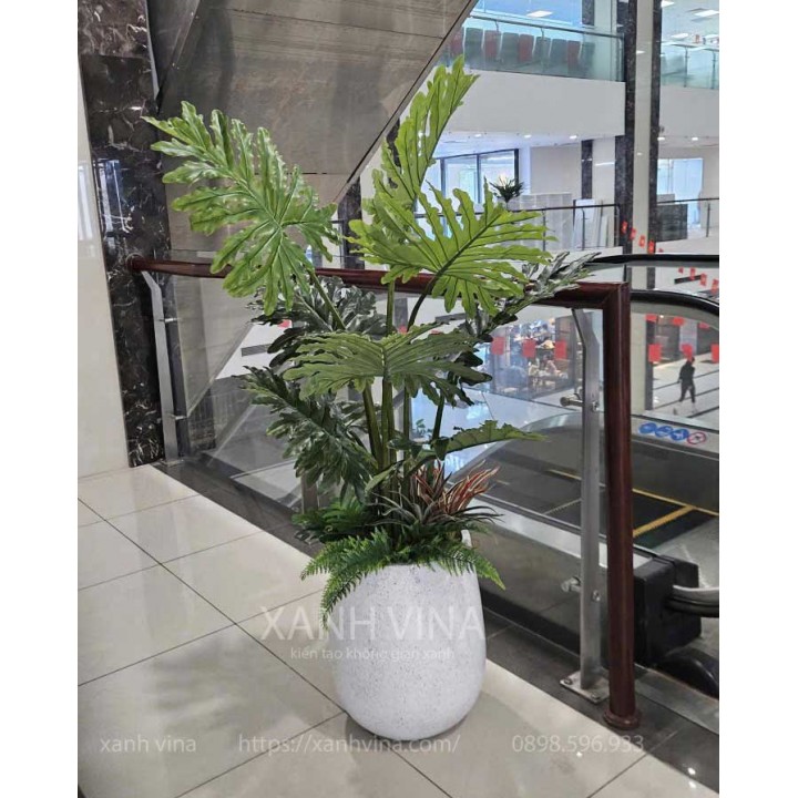 cây trầu bà nam mỹ giả